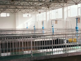 聞汛而動(dòng) 使命必達(dá) | 甘肅機(jī)械化搶險(xiǎn)隊(duì)成功開(kāi)辟應(yīng)急通道獲贈(zèng)錦旗